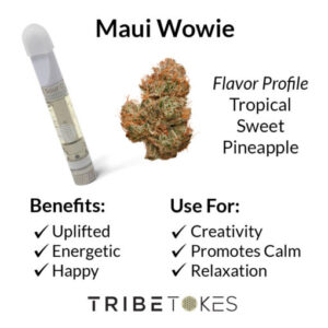 Maui Wowie is a tropical sativa with sweet pineapple and citrus flavors, offering uplifting, energizing effects perfect Maui Wowie Strain (Sativa)