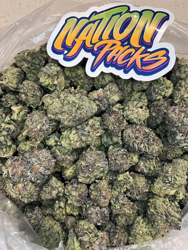 Black Truffle is a potent hybrid strain with earthy, piney flavors, offering balanced effects that promote relaxation, creativity, and relief from stress