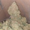 Packman Peachy Nerdz offers a delicious blend of peach and candy flavors with uplifting effects, perfect for creativity, relaxation, and mood enhancement.