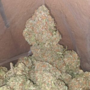 Packman Peachy Nerdz offers a delicious blend of peach and candy flavors with uplifting effects, perfect for creativity, relaxation, and mood enhancement.