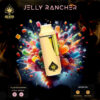 ACE Jelly Rancher delivers a sweet, tangy fruit flavor with balanced effects, offering mental clarity, relaxation, and mood enhancement. Perfect for daytime