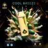 ACE Cool Breeze delivers a refreshing minty flavor with uplifting effects, offering mental clarity, relaxation, and mood enhancement for daytime use.