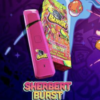 Burst Disposable – Shebert Burst delivers smooth, fruity vapor with balanced uplifting and relaxing effects, offering a convenient, flavorful vaping