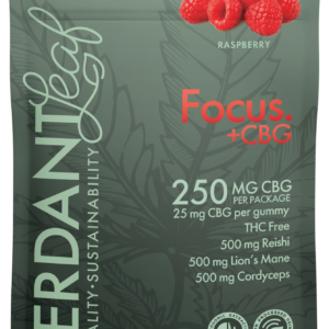 Verdant Leaf | Mushroom Gummies - Focus + CBG | Mushroom Nootropics with 25mg of CBG - 10ct